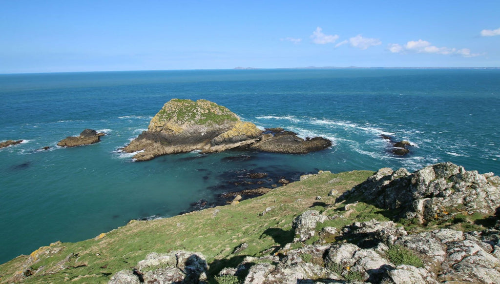 Discover Skomer Island: Ultimate Guide to Puffin Watching & Wildlife Tours
