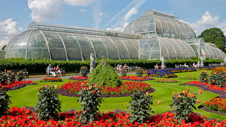 Kew Royal Botanic Gardens: A Serene Sanctuary in the Heart of London