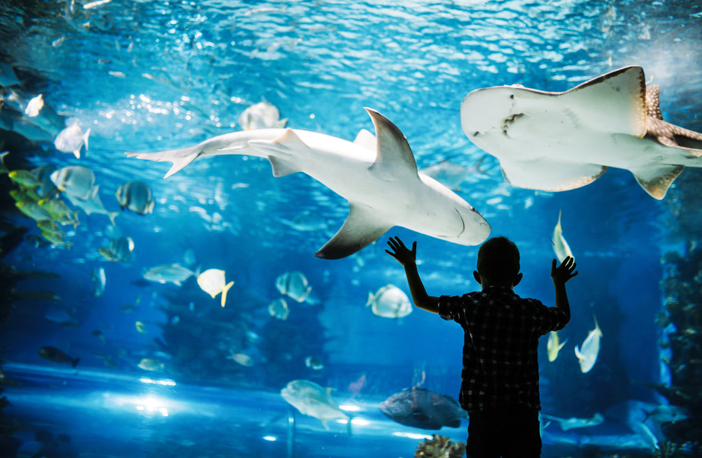 Ultimate Guide to Indoor Easter Fun for Kids in the UK: Top Family-Friendly Destinations