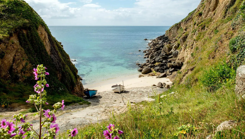 Explore Cornwall's Hidden Coves and Rock Pooling Adventures for Families
