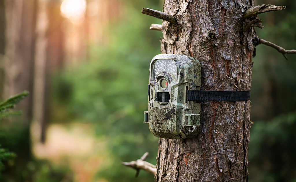 The Ultimate Guide to Outdoor Wildlife Cameras for Garden Enthusiasts