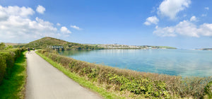 Explore the Camel Trail: Cornwall's Premier Cycling Experience