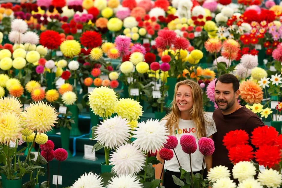 2024 UK Garden and Flower Shows Guide: Dates, Highlights, and Must-Visit Events