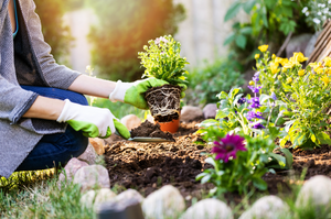 Spring Garden Preparation Guide: Simple Steps for Vibrant Growth