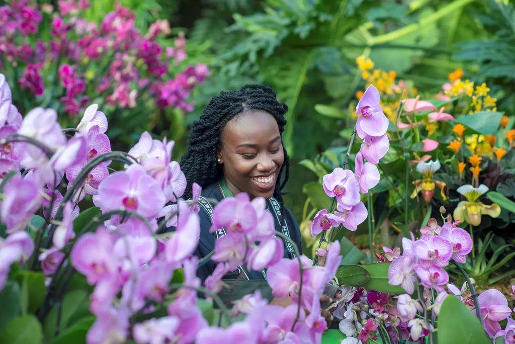 Embark on a Madagascar Adventure at the Kew Gardens Orchid Festival 2024