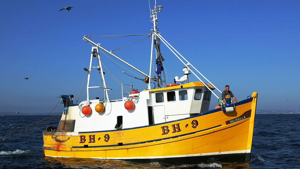 Navigating the Waters of Change: A Deep Dive into the UK's Top Sustainable Fisheries