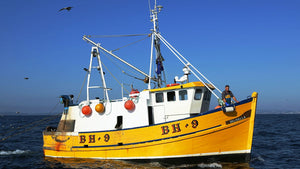 Navigating the Waters of Change: A Deep Dive into the UK's Top Sustainable Fisheries